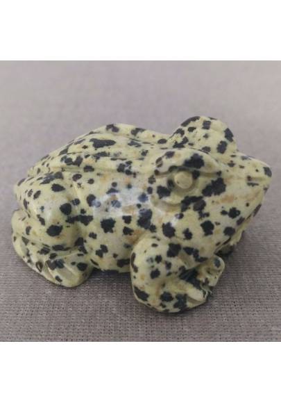 Frog BIG Dalmatian JASPER Dalmatine Minerals Animals MINERALS Gift Idea-1