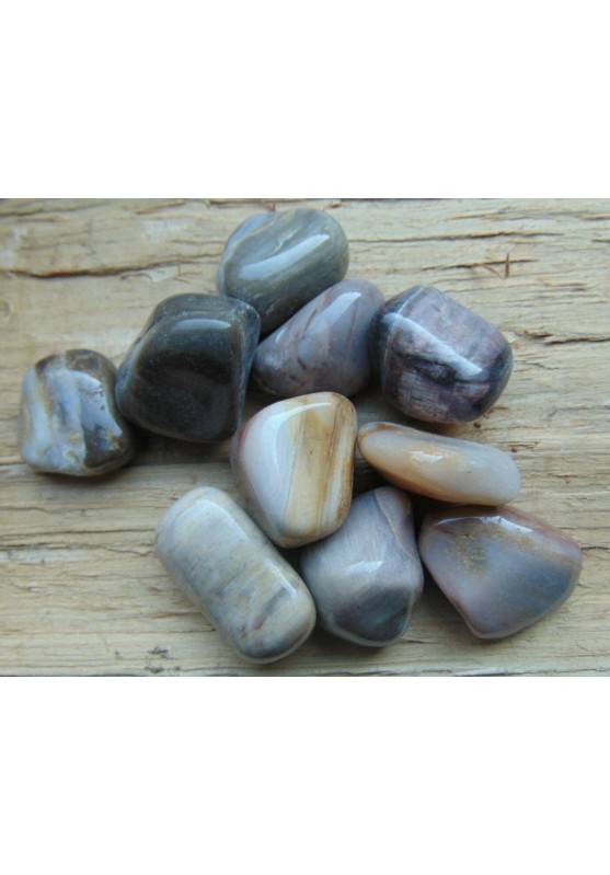 Fossil Petrified Wood Tumbled Crystal MINERALS Gemstone Crystal Healing Excellent-1