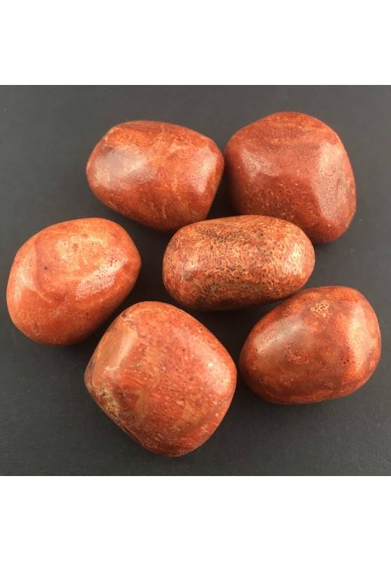 Red Madrepore Mother of Pore Tumbled Crystal MINERALS Crystal Healing Chakra Gemstone-1