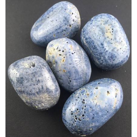 Rare Blue Coral Madrepore Tumbled Stone Crystal Healing Chakra High Grade-1