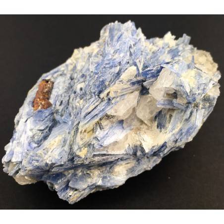 Rough BIG Kyanite with Quartz Crystal Healing Specimen Chakra Minerals Stone-2