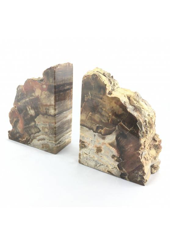 BIG Bookends Slice of  FOSSIL wood Silicified EXTRA Quality-1