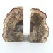 Slice Bookends FOSSIL wood Silicified EXTRA Quality furniture Specimen-3