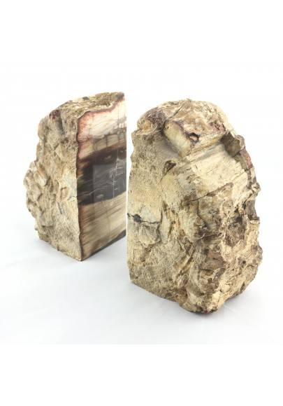 Slice Bookends FOSSIL wood Silicified EXTRA Quality furniture Specimen-1