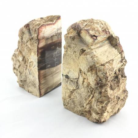 Slice Bookends FOSSIL wood Silicified EXTRA Quality furniture Specimen-1