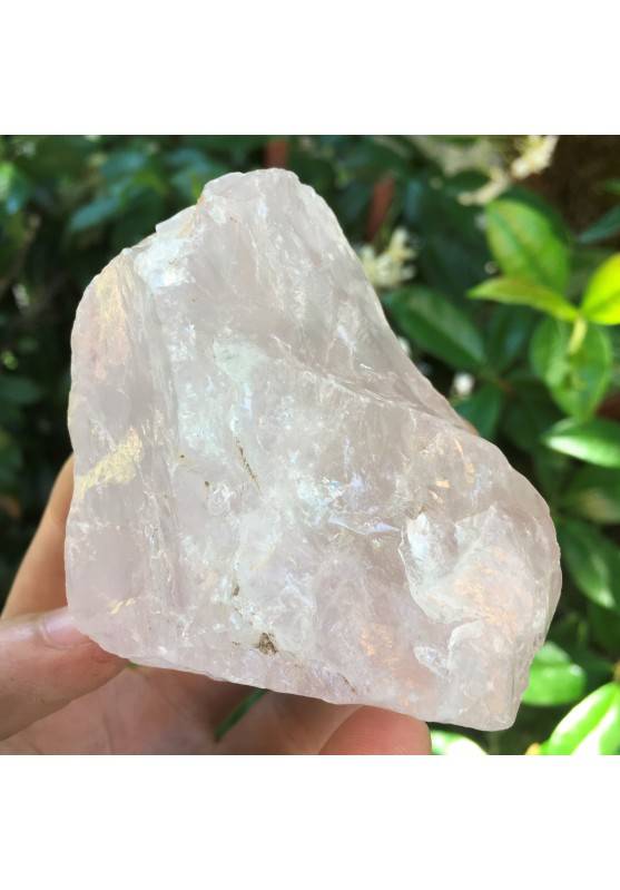High Quality Rose Quartz Rough Crystal Minerals Specimen Crystal Healing 246g-1