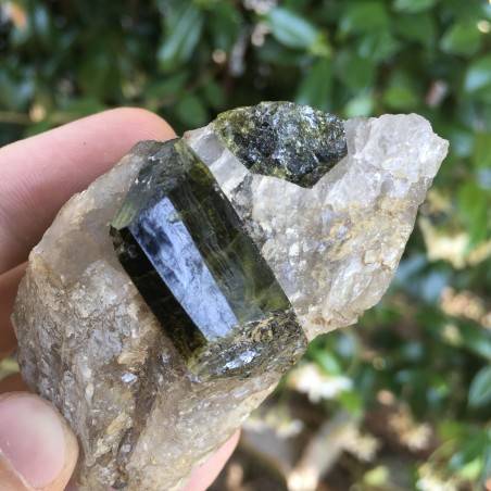 Historical Minerals * Precious Epidote crystals on Quartz Val di Mello-1