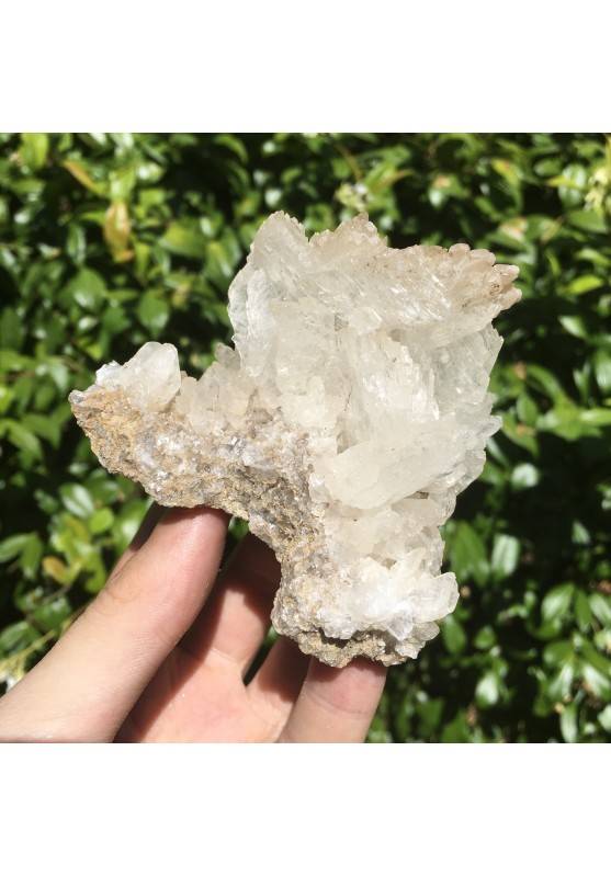 Minerali Storici * Stupendo GESSO di Cordoba Grezzo - Argentina Collezionismo-1