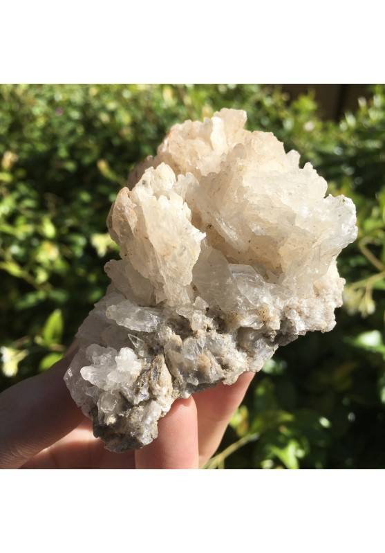 Minerali Storici * Campione di GESSO Grezzo di Cordoba - Argentina Collezionismo-1
