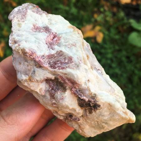 Minerales TURMALINA Multicolor Bruto en Matriz Decoración de Hogar Chakra Reiki-2
