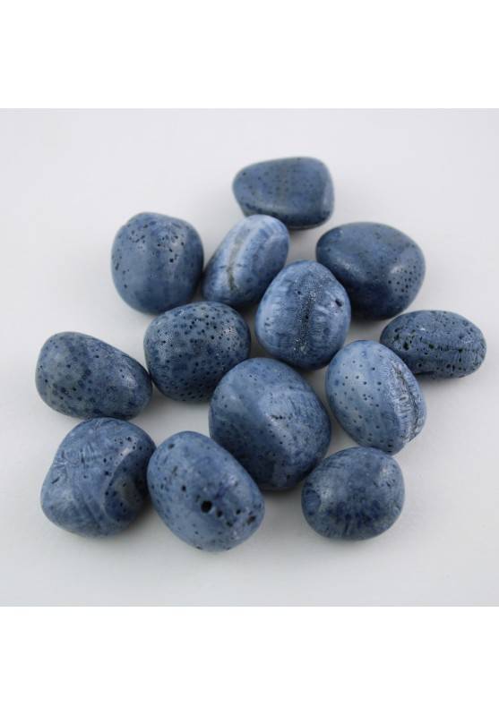 Blue MADREPORE Mother of Pore Tumbled Crystal MINERALS Crystal Healing Chakra Stone dura A-1