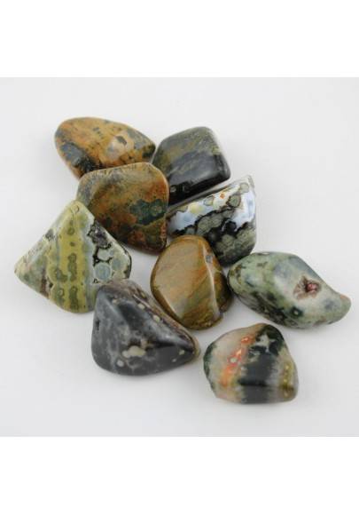 ORBICULAR OCEAN JASPER Tumbled Stone Chakra Crystal Crystal Healing Gift Idea-3