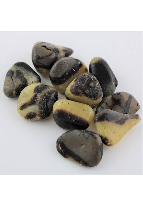 Septarian Tumbled Stone 1pc Crystal Healing Polished MINERALS High Quality A+-2