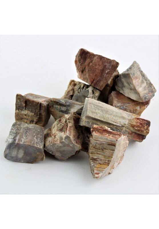 Minerali * LEGNO FOSSILE grezzo Collezionismo Cristalloterapia Reiki Zen Chakra-1