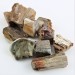 MINERALS * FOSSIL WOOD Polished Specimen High Quality Crystal Healing Chakra A+-2