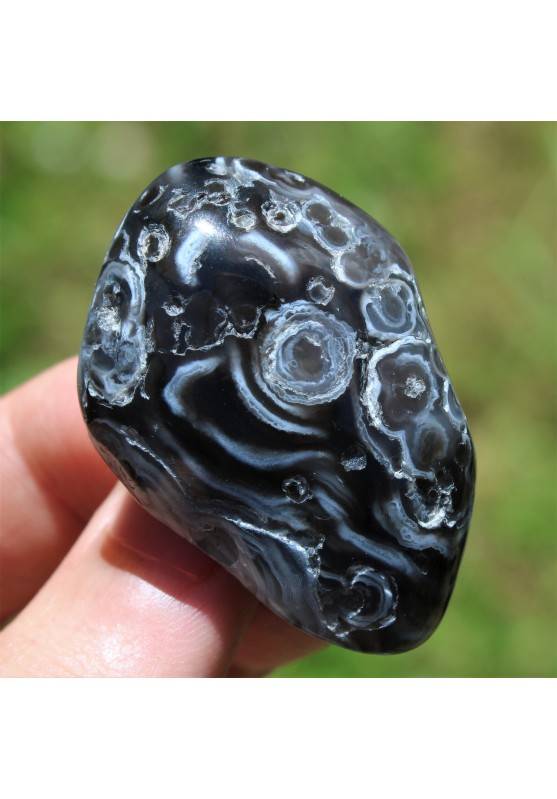 Minerals * AGATE from Madagascar with fossilized water Enhydro Crystal Healing-1