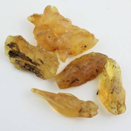 Minerals COPAL AMBER Rough Unpolished Stone Crystal Healing Home Decor Chakra Zen-1