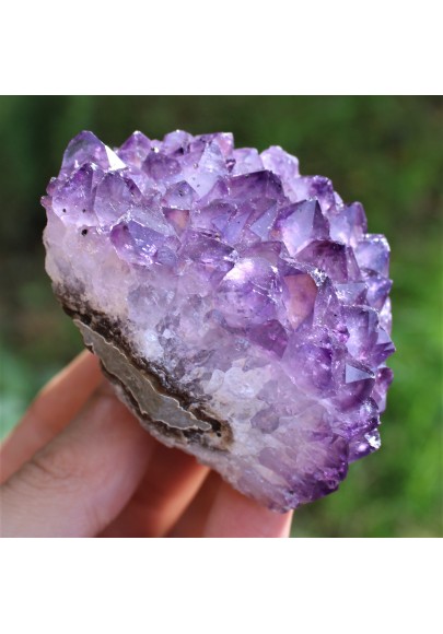 Minerali * Drusa Ametista del Brasile Alta Qualità A+ Collezionismo Geode-1