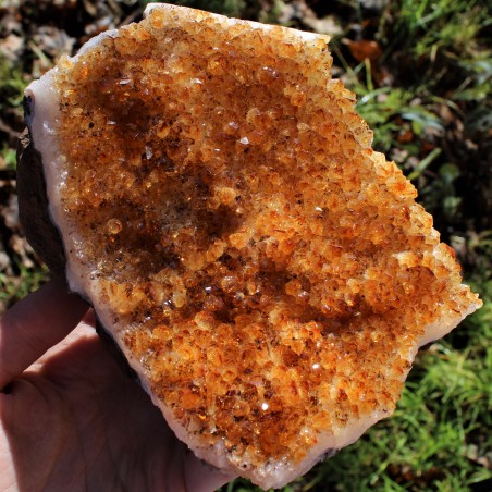 Drusa Quarzo Citrino di Altissima Qualità Minerale Cristalli Punta Chakra Geode-2