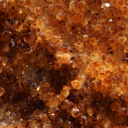 Drusa Quarzo Citrino di Altissima Qualità Minerale Cristalli Punta Chakra Geode-3