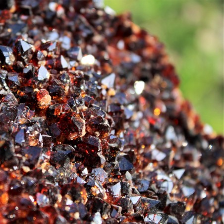 Big Rough Citrine Quartz Druzy Minerals Crystals Point Geode Specimen Zen A+-5