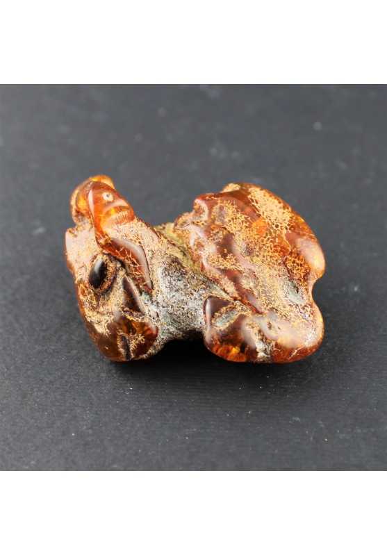 Amber Natural resin Furniture Collectables Crystal therapy dog rabbit-1