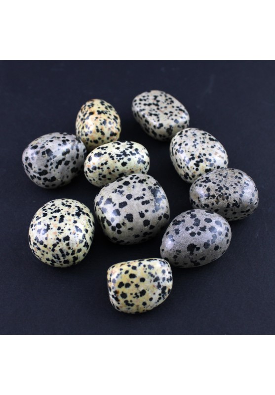 Dalmatian JASPER Tumbled Stone DALMATINE Chakra MINERALS Crystal Crystal Healing-1