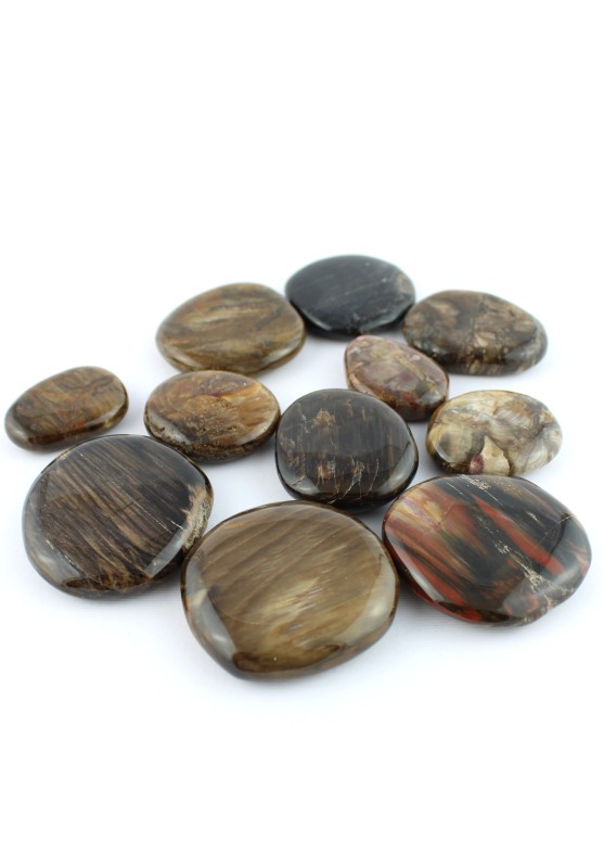 Piedra de Palma en Madera Fósil Coleccionables de piedras minerales Terapia de cristal-2