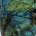 Beautiful LABRADORITE with Blue Gold Reflections POLISHED COLLECTABLE FURNISHINGS-3