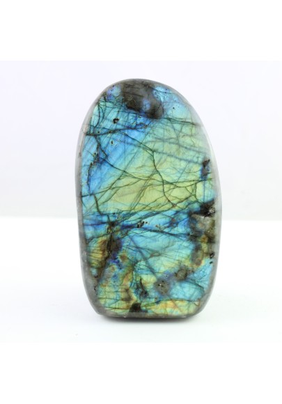 Beautiful LABRADORITE with Blue Gold Reflections POLISHED COLLECTABLE FURNISHINGS-1