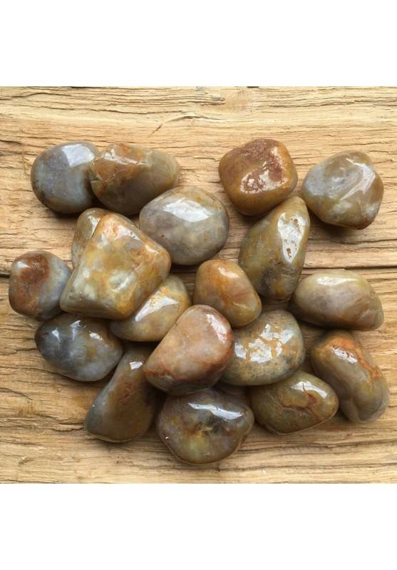 Tumbled COPROLITE Dinosaur Fossilized Poo 1pc Tumble Stones Crystal Healing Quality A+-1