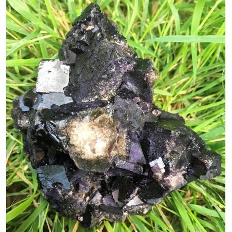 Minerals * Rare FLUORITE Dark PURPLE -BLACK From Mexico Specimen Reiki-3
