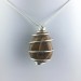Pendant STROMATOLITE Hand Made on Silver Plated Spiral Gift Idea A+-4