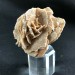 Selenite DESERT ROSE Sand 75.5g MINERALS Crystal Healing Chakra Gift Idea Crystals A+-4