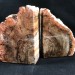 MINERALS * Rare Petrified WOOD Fossil Bookends Paperweight High Quality Specimen A+-1
