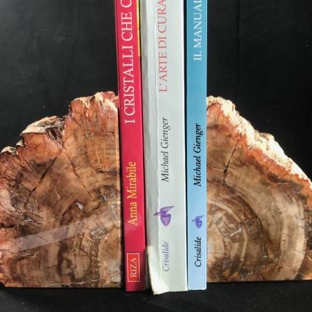 MINERALS * Rare Petrified WOOD Fossil Bookends Paperweight High Quality Specimen A+-2