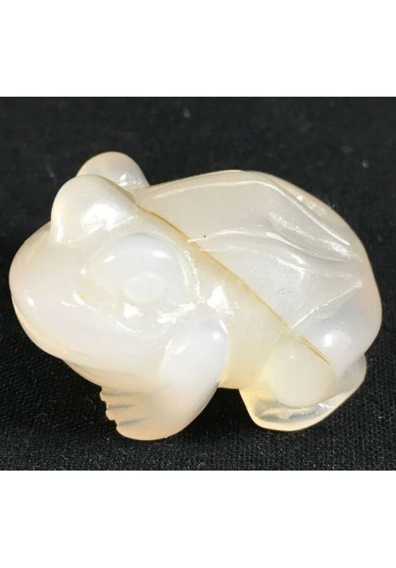 Frog in CARNELIAN AGATE ANIMALS in Stone MINERALS High Quality Chakra A+ Reiki-1