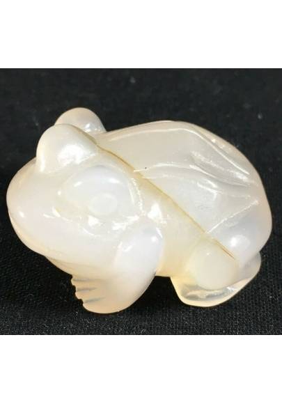 CARNELIAN Stone AGATE Crystal Frog Animals in Stone MINERALS High Quality Chakra Reiki-1