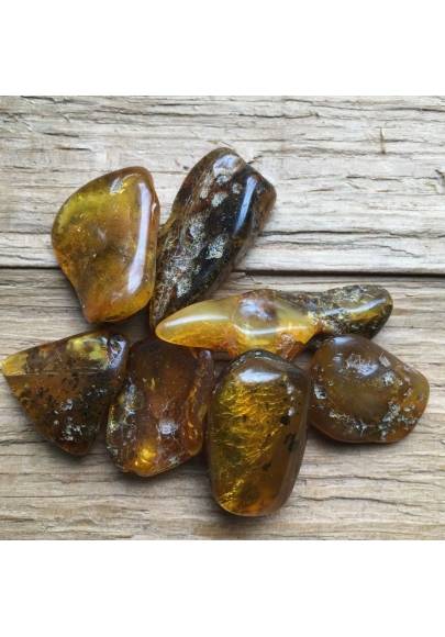 Mexico Amber Fossils CHIAPAS AMBER Crystal Healing High Quality Chakra Reiki A+c-2