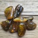 Mexico Amber Fossils CHIAPAS AMBER Crystal Healing High Quality Chakra Reiki A+c-2