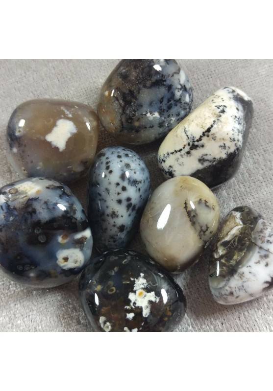 Tumbled Dendritic Agate EXTRA MINERALS Tumbled Crystals Slice Healing-1