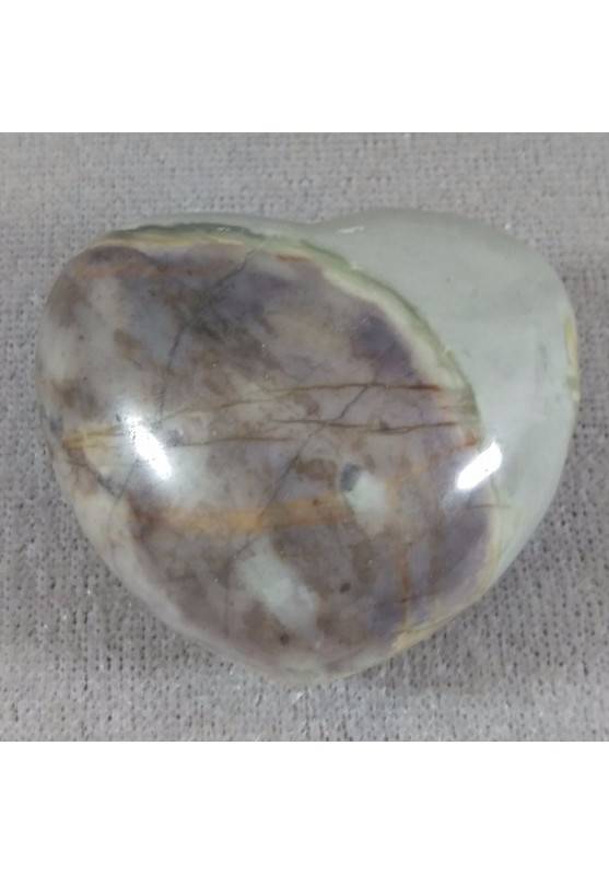 HEART in Fossil Petrified Wood Tumbled Stone Big Crystal Healing LOVE Minerals Naturals-1