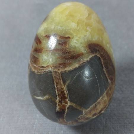 Uovo in Septaria Lavorata Cristalloterapia Cristalli Pasqua Ovale Minerali Reiki-3