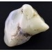 Green Chrysoprase Tumbled Stone BIG Western Australia Crystal Healing Chakra Zen-2