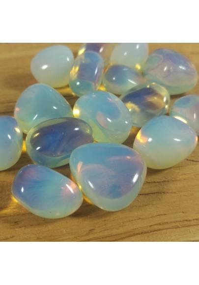 OPALITE STONE Tumbled MINERALS Crystals [Pay Only One Shipment]-1