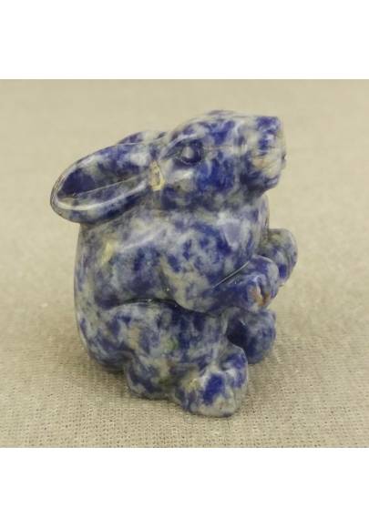 Rabbit in Sodalite Home Animals Crystal Healing MINERALS Polished Reiki Zen-1