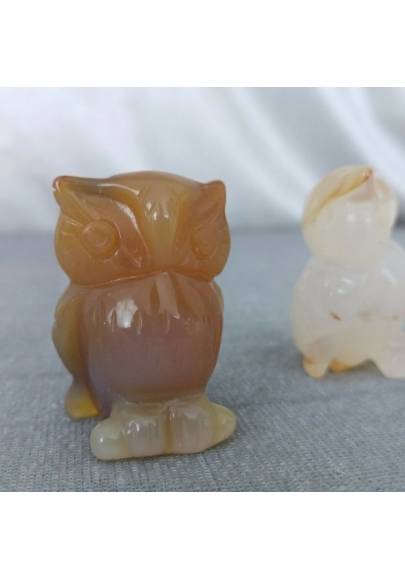 Owl in CARNELIAN Home Animals Crystal Healing MINERALS Polished Feng Shui Zen-1